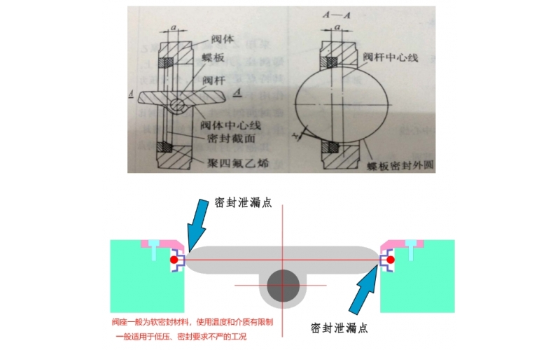 单偏心蝶易游（中国）介绍